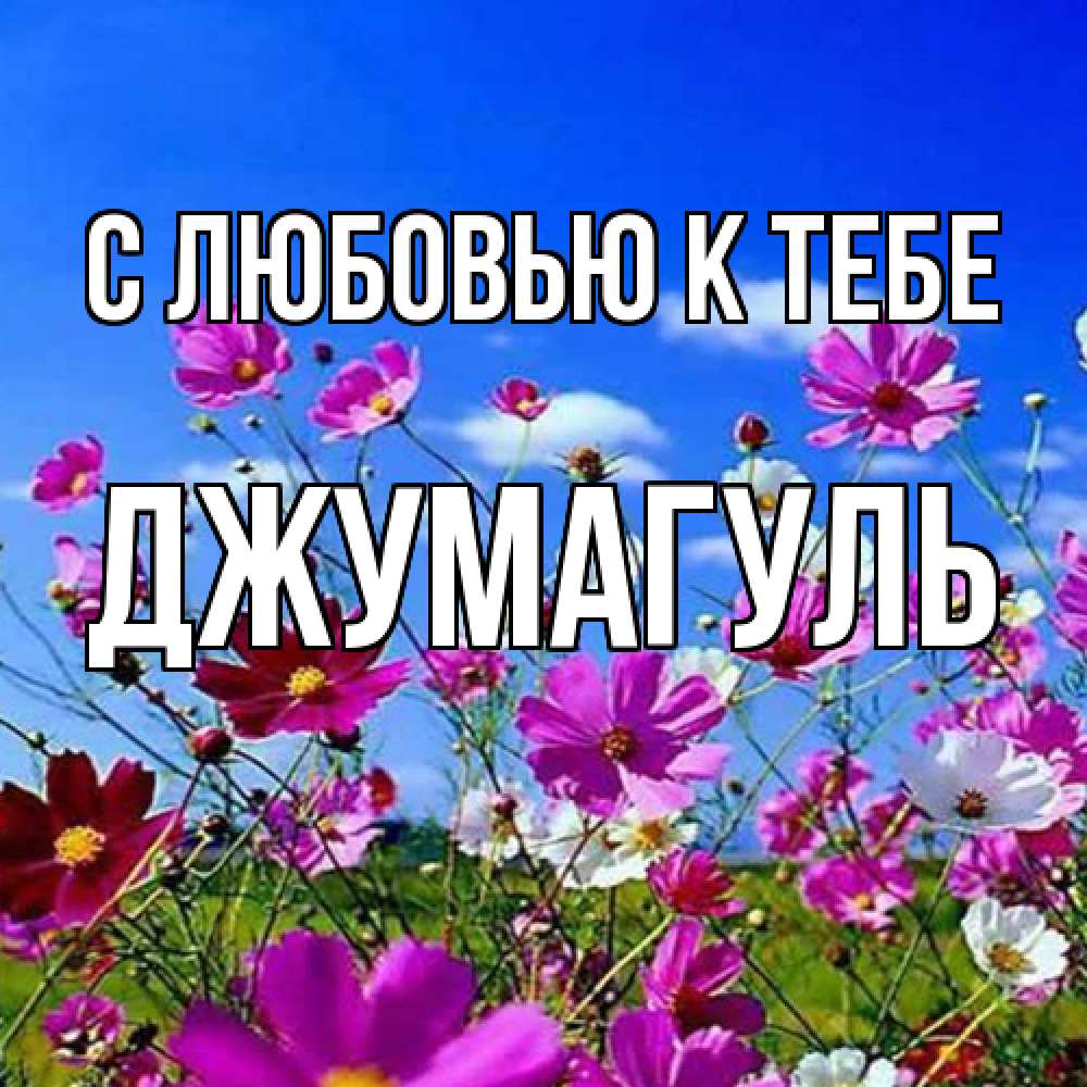 Открытка  с именем. Джумагуль, С любовью к тебе  