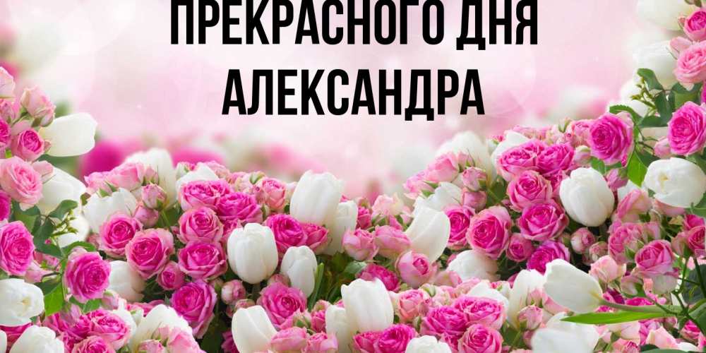 Открытка  с именем. Александра, Прекрасного дня  