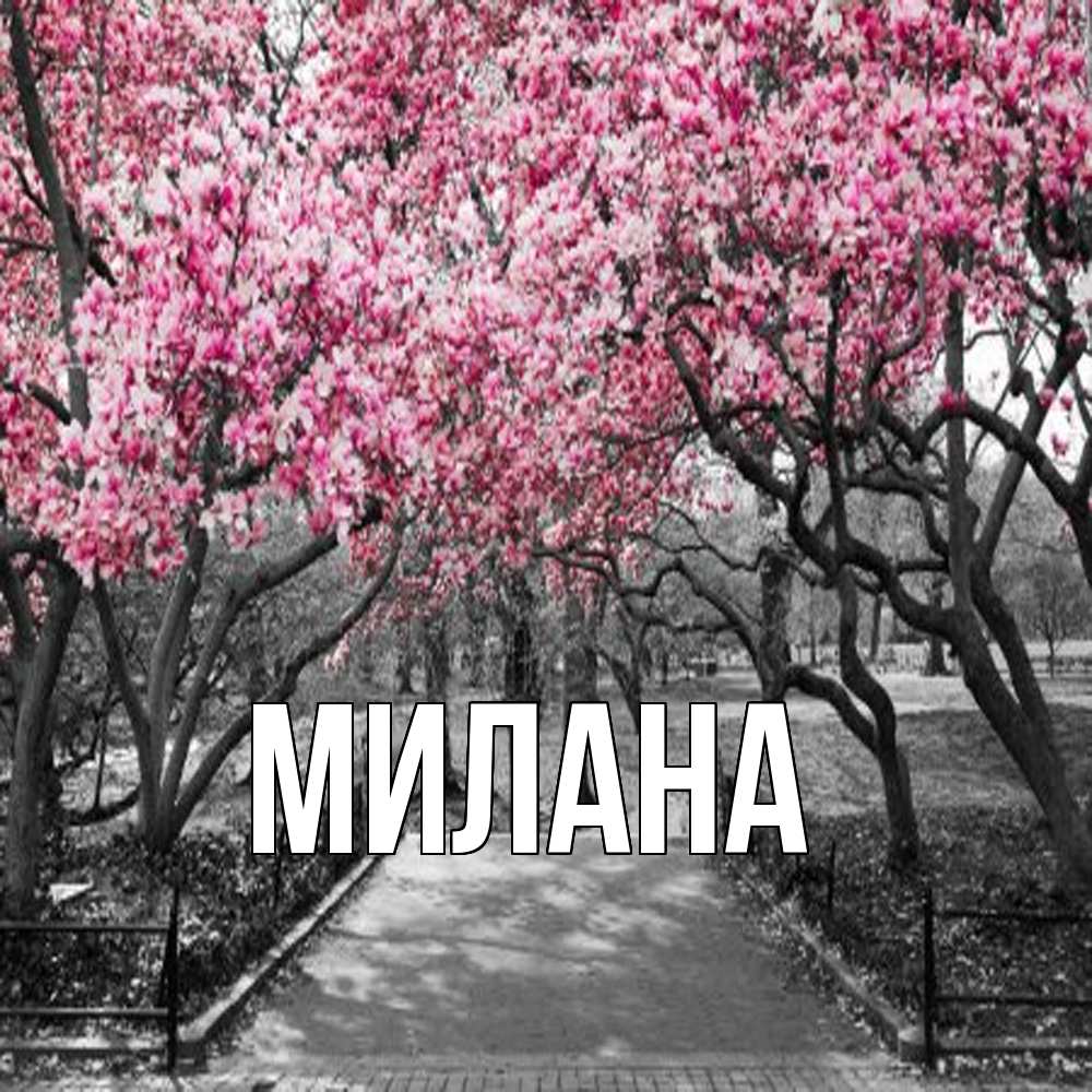 Открытка  с именем. Милана, Главная  