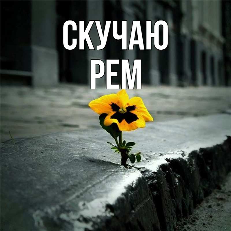 Картинка Скучаю, Рем