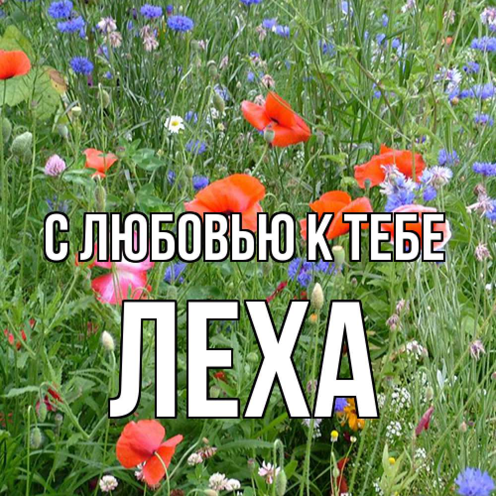 Открытка  с именем. Леха, С любовью к тебе  