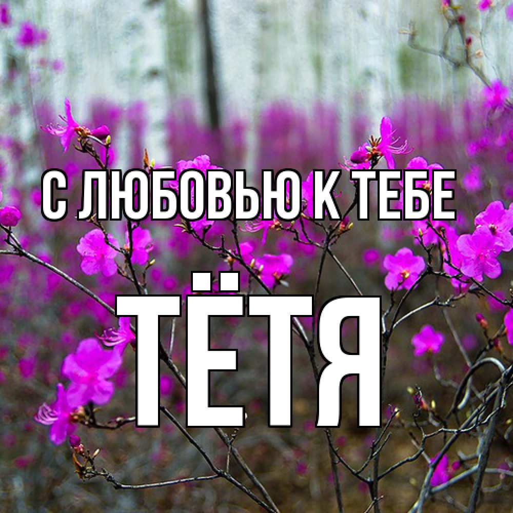 Открытка  с именем. Тётя, С любовью к тебе  