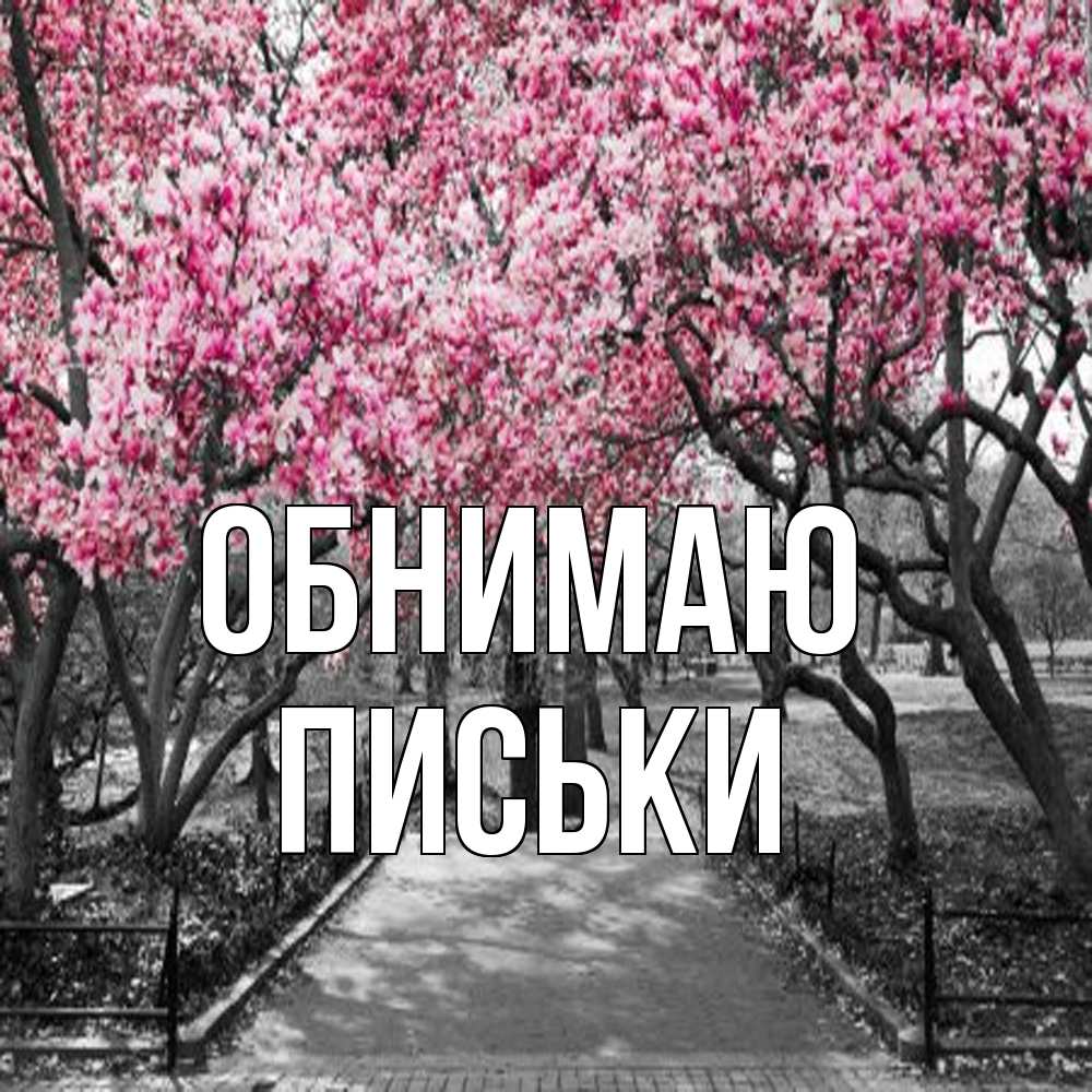Открытка  с именем. Письки, Обнимаю  