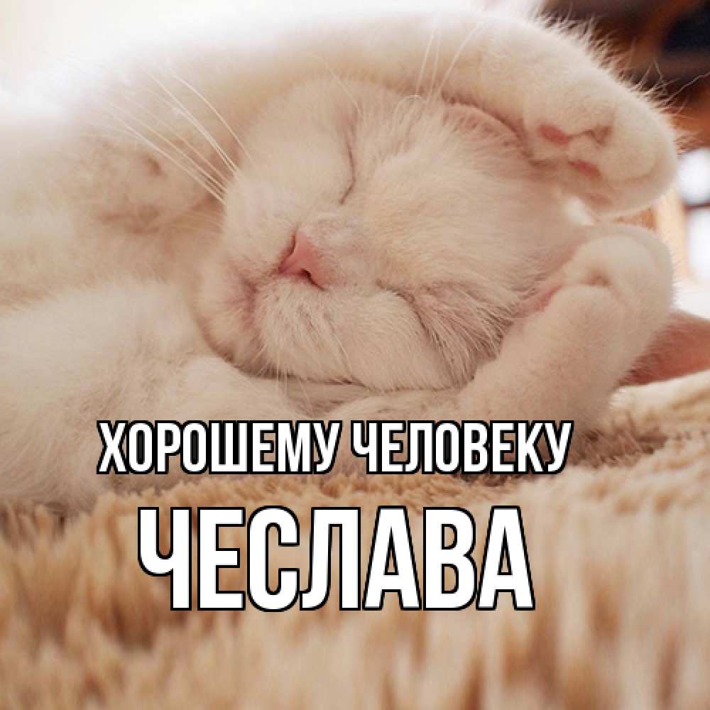 Открытка  с именем. Чеслава, Хорошему человеку  