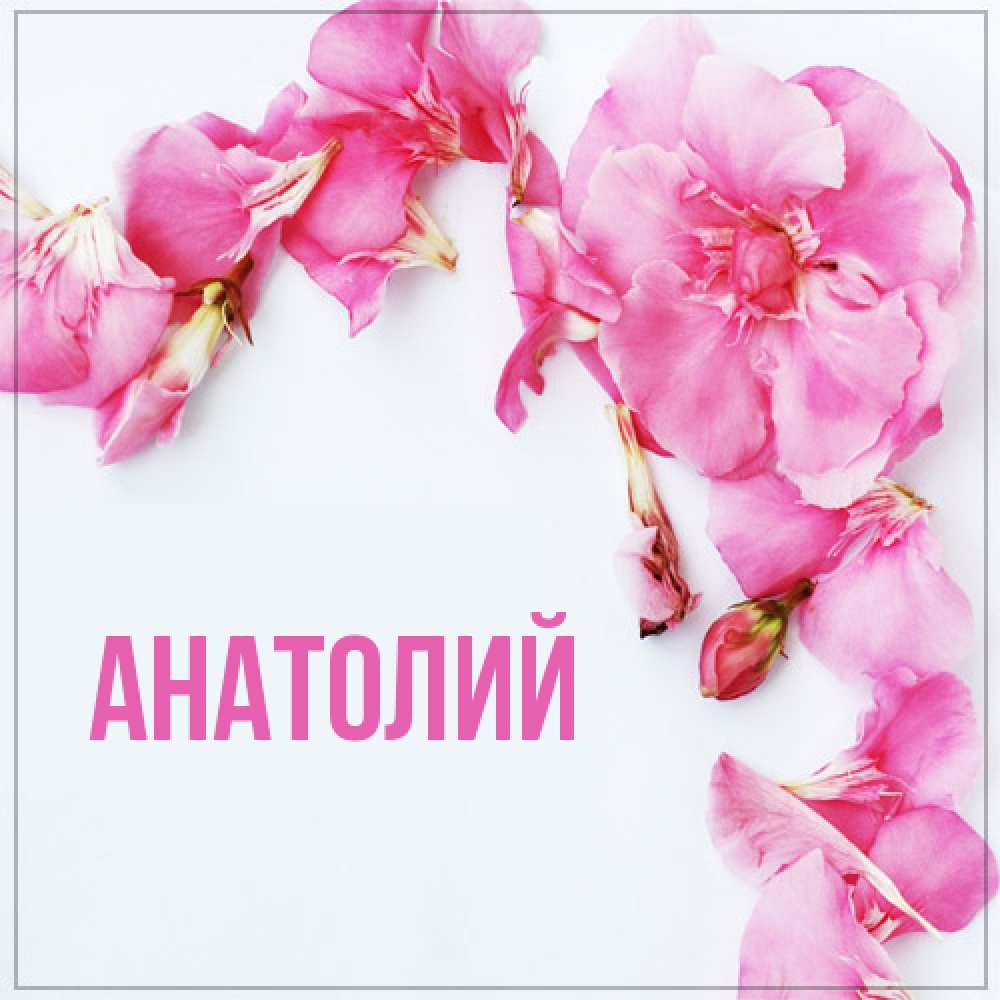 Открытка  с именем. Анатолий, Главная  