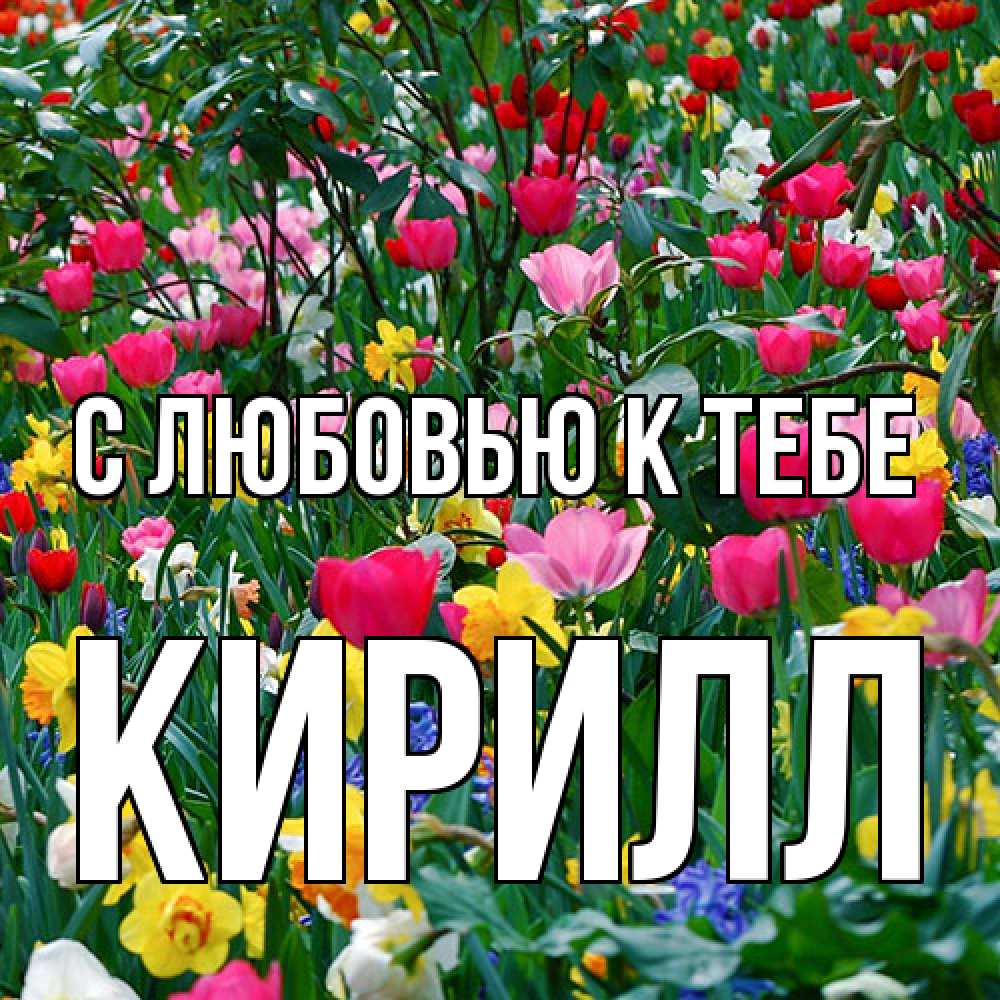 Открытка  с именем. Кирилл, С любовью к тебе  