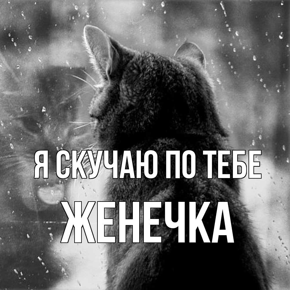 Открытка  с именем. Женечка, Я скучаю по тебе  