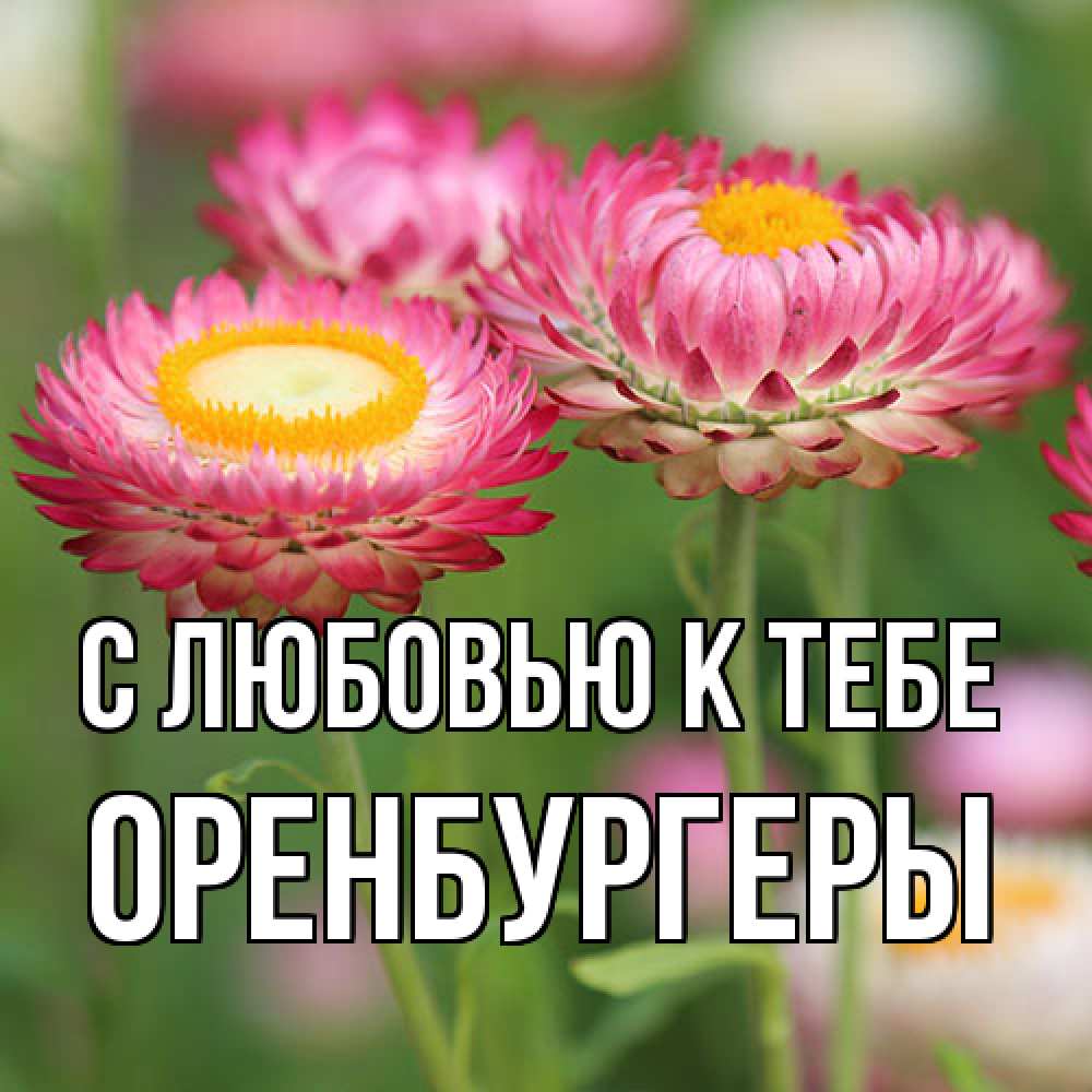 Открытка  с именем. Оренбургеры, С любовью к тебе  