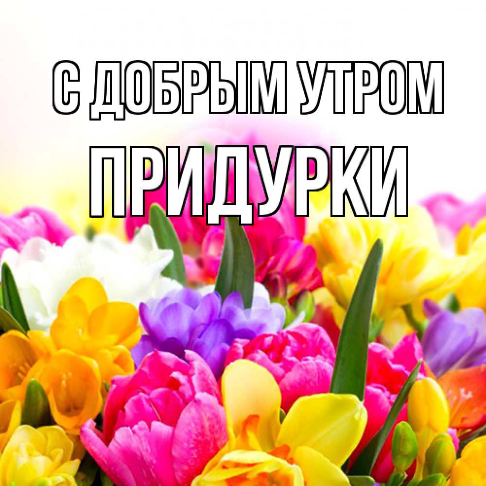 Открытка  с именем. Придурки, С добрым утром  