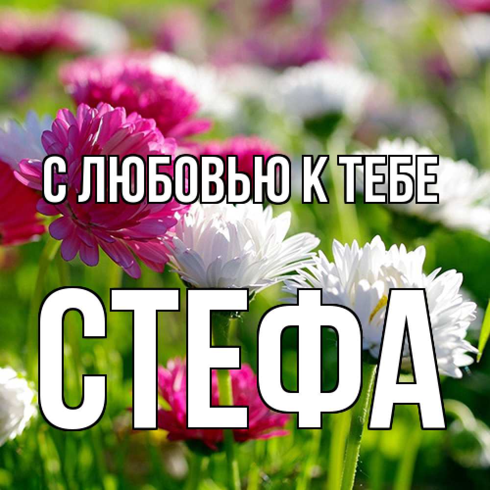 Открытка  с именем. стефа, С любовью к тебе  