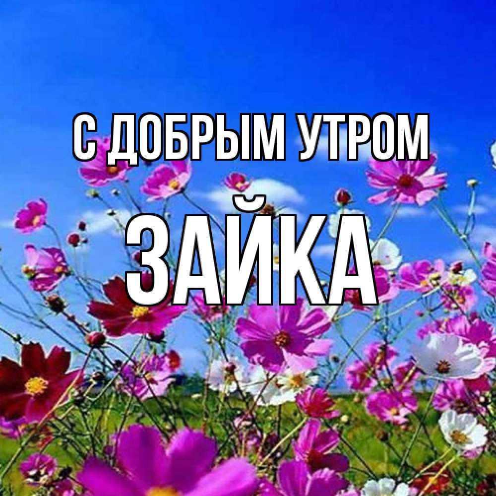 Открытка  с именем. Зайка, С добрым утром  