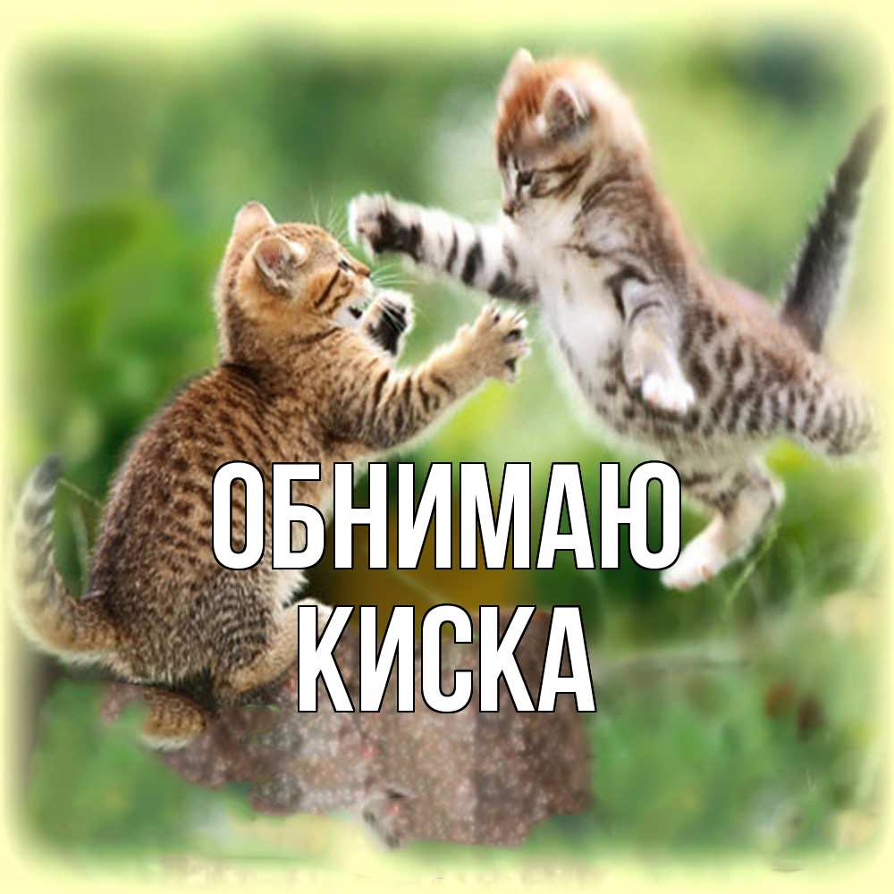 Открытка  с именем. Киска, Обнимаю  