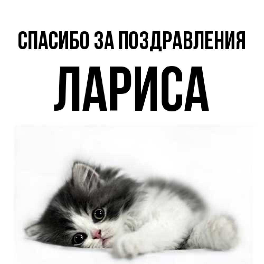 Открытка  с именем. Лариса, Спасибо за поздравления  