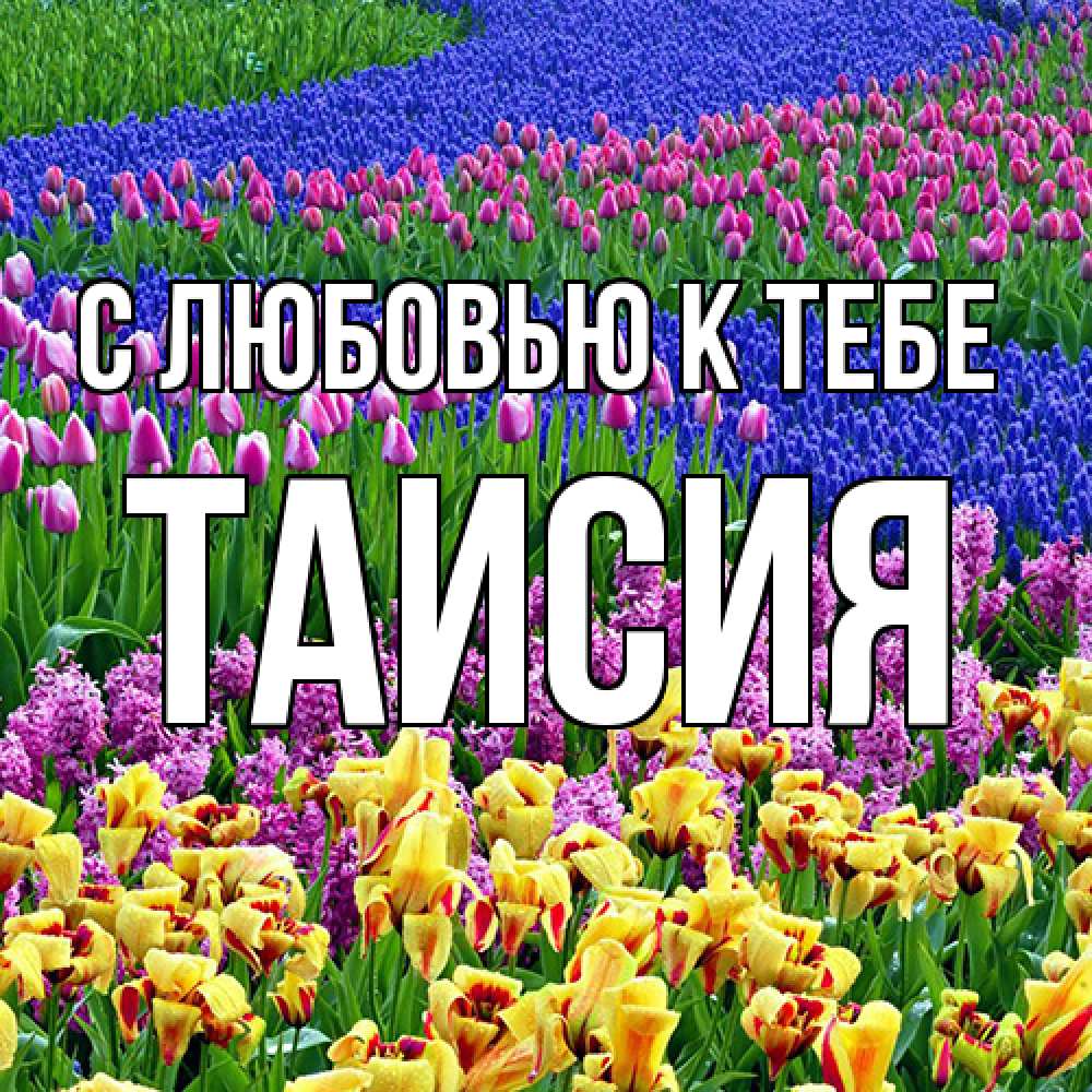 Открытка  с именем. Таисия, С любовью к тебе  