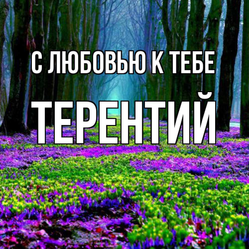 Открытка  с именем. Терентий, С любовью к тебе  