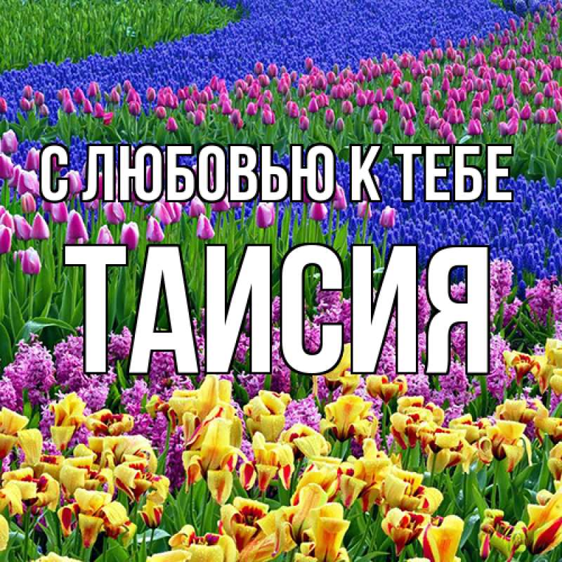 Картинка С любовью к тебе, Таисия