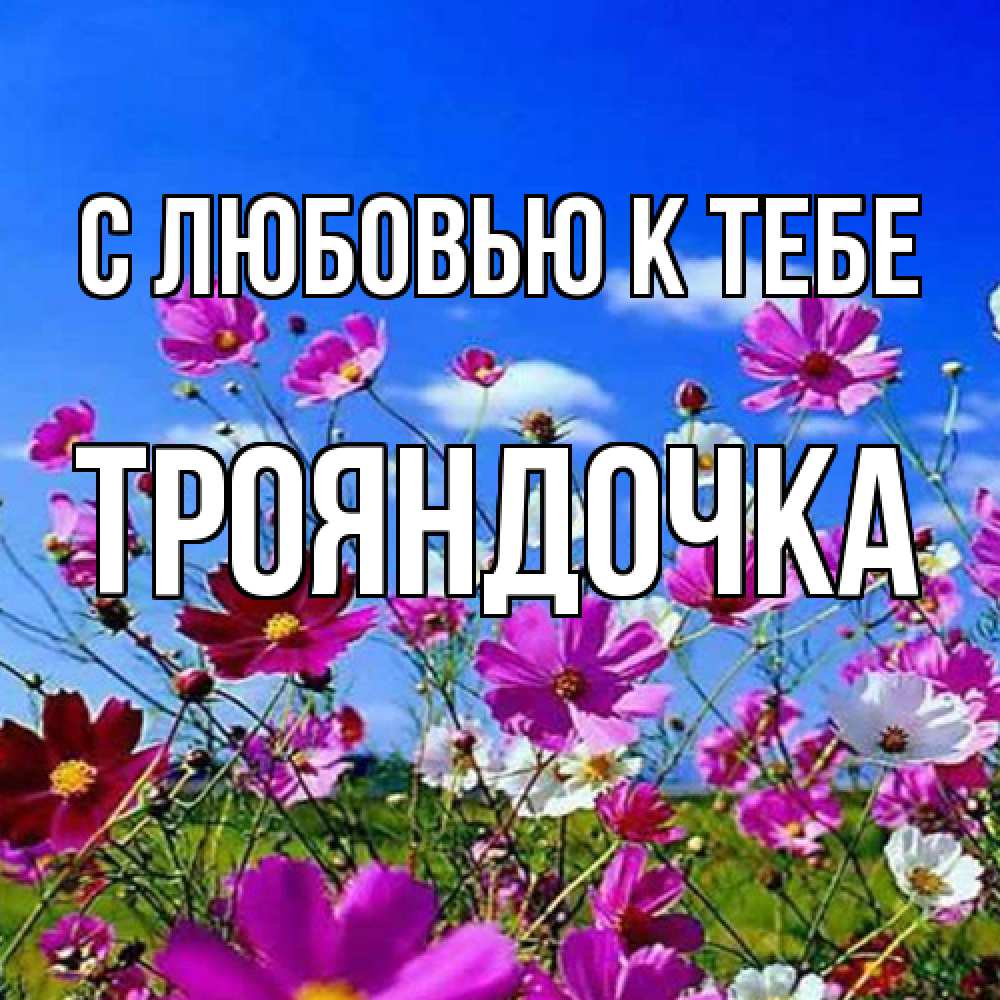 Открытка  с именем. Трояндочка, С любовью к тебе  