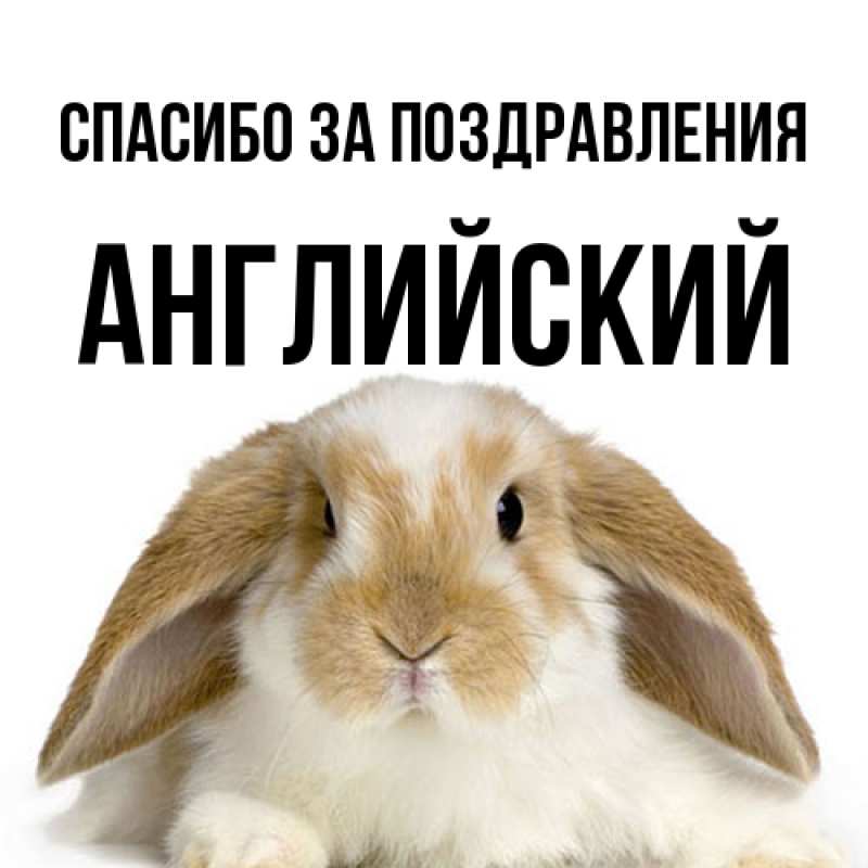 Картинка Спасибо за поздравления, Английский