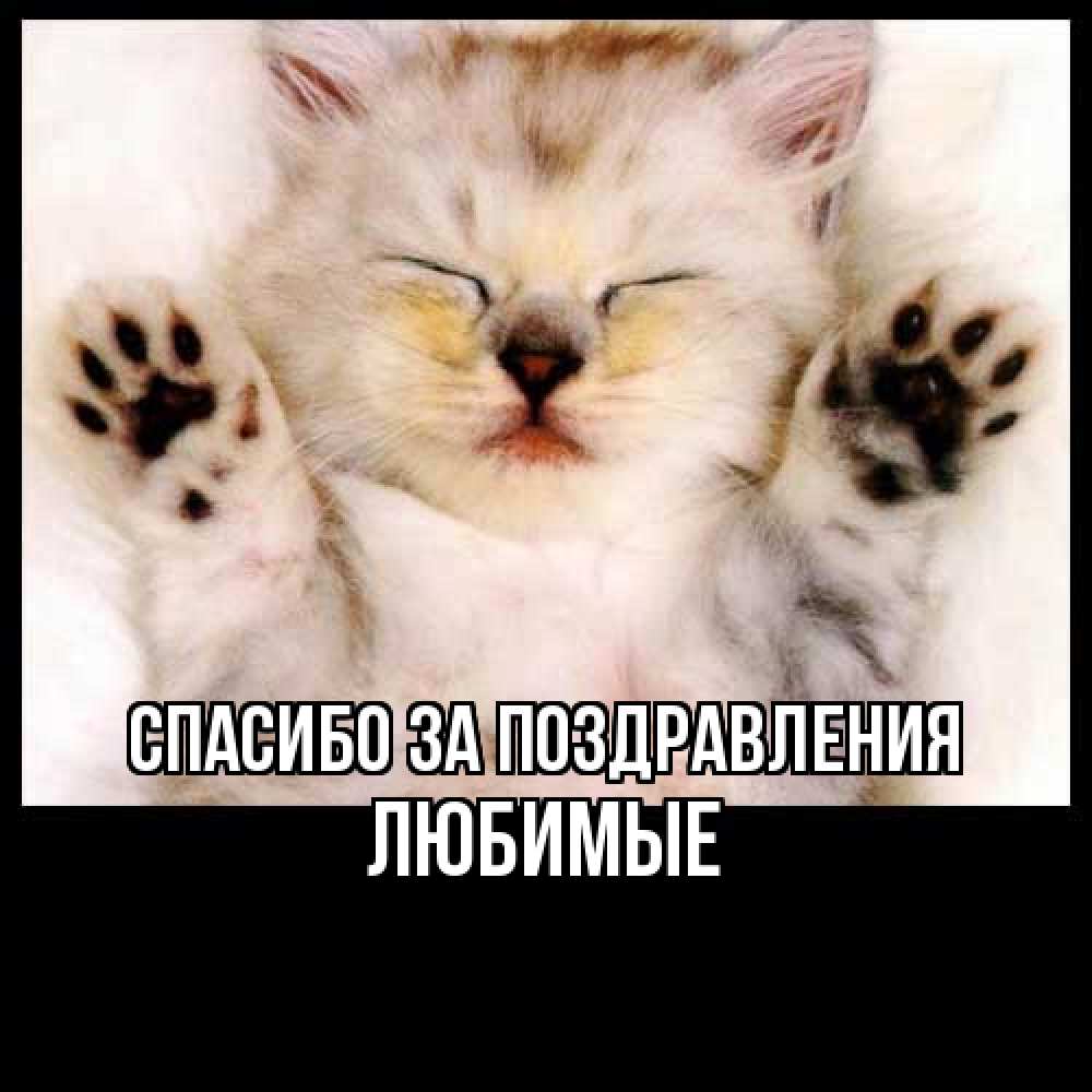 Открытка  с именем. Любимые, Спасибо за поздравления  