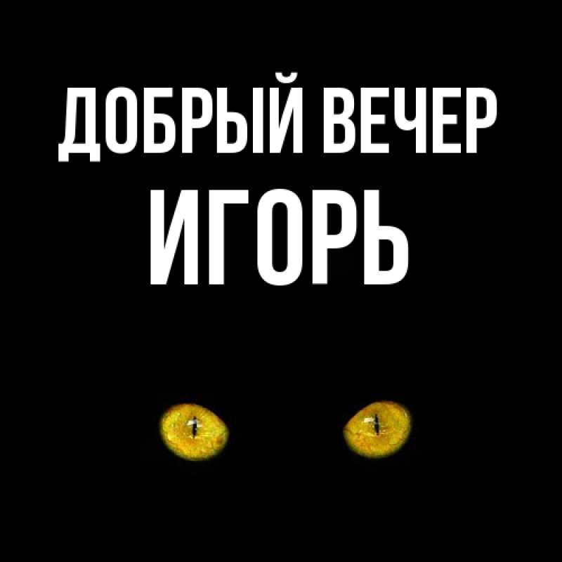 Картинка Добрый вечер, Игорь