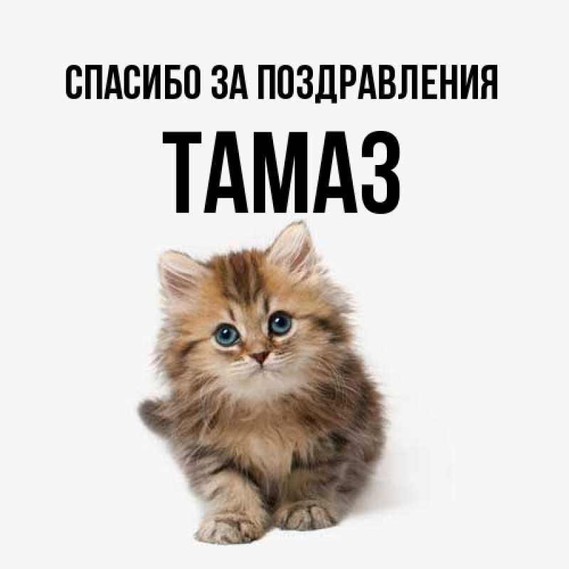 Картинка Спасибо за поздравления, Тамаз