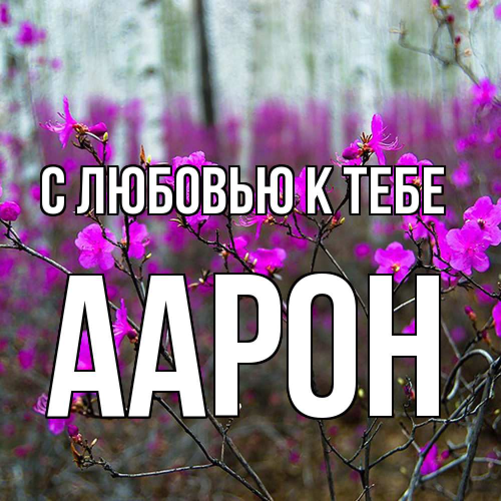 Открытка  с именем. Аарон, С любовью к тебе  