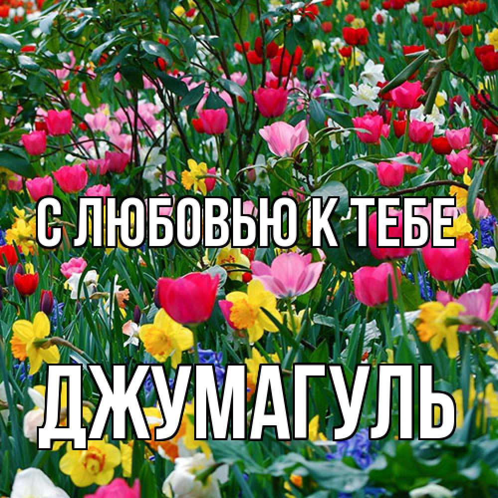 Открытка  с именем. Джумагуль, С любовью к тебе  