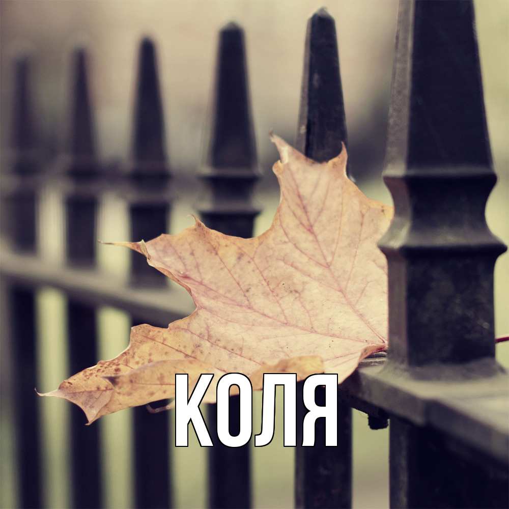 Открытка  с именем. коля, Главная  