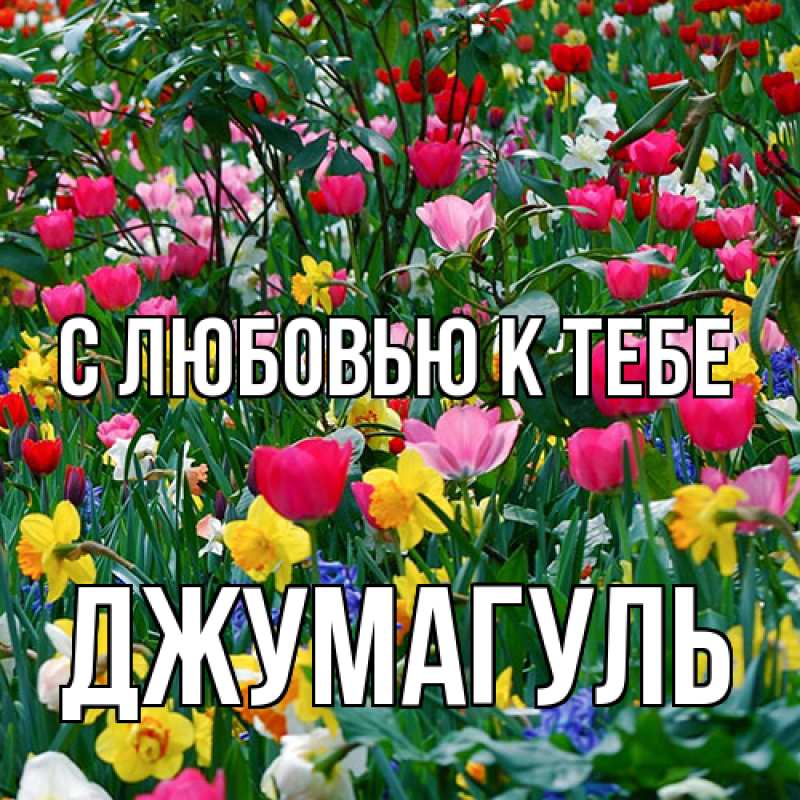 Картинка С любовью к тебе, Джумагуль