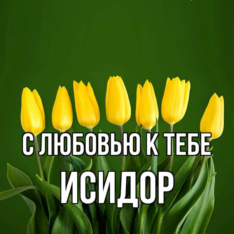 Картинка С любовью к тебе, Исидор