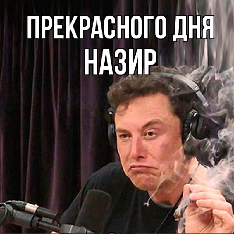 Картинка Прекрасного дня, Назир