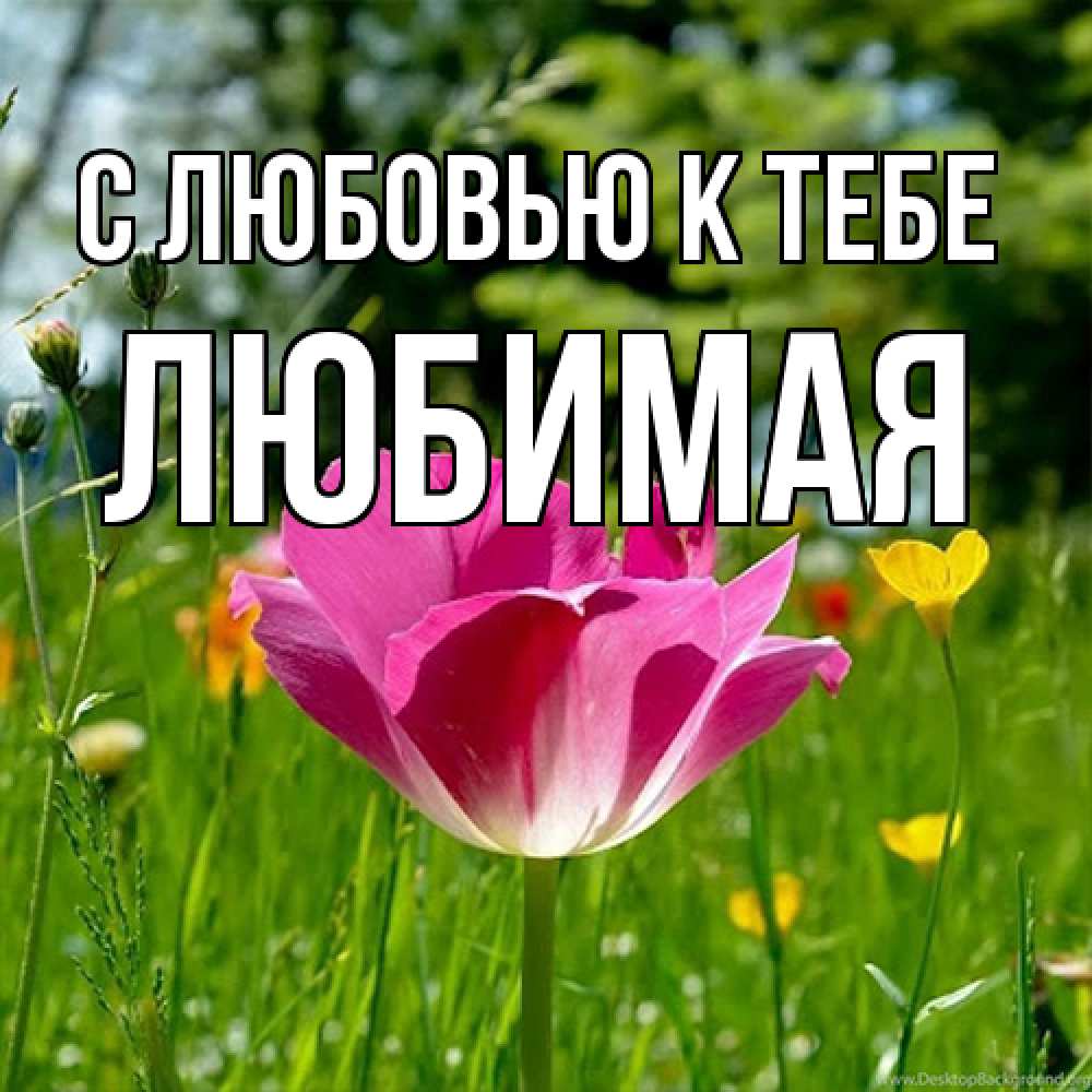 Открытка  с именем. Любимая, С любовью к тебе  