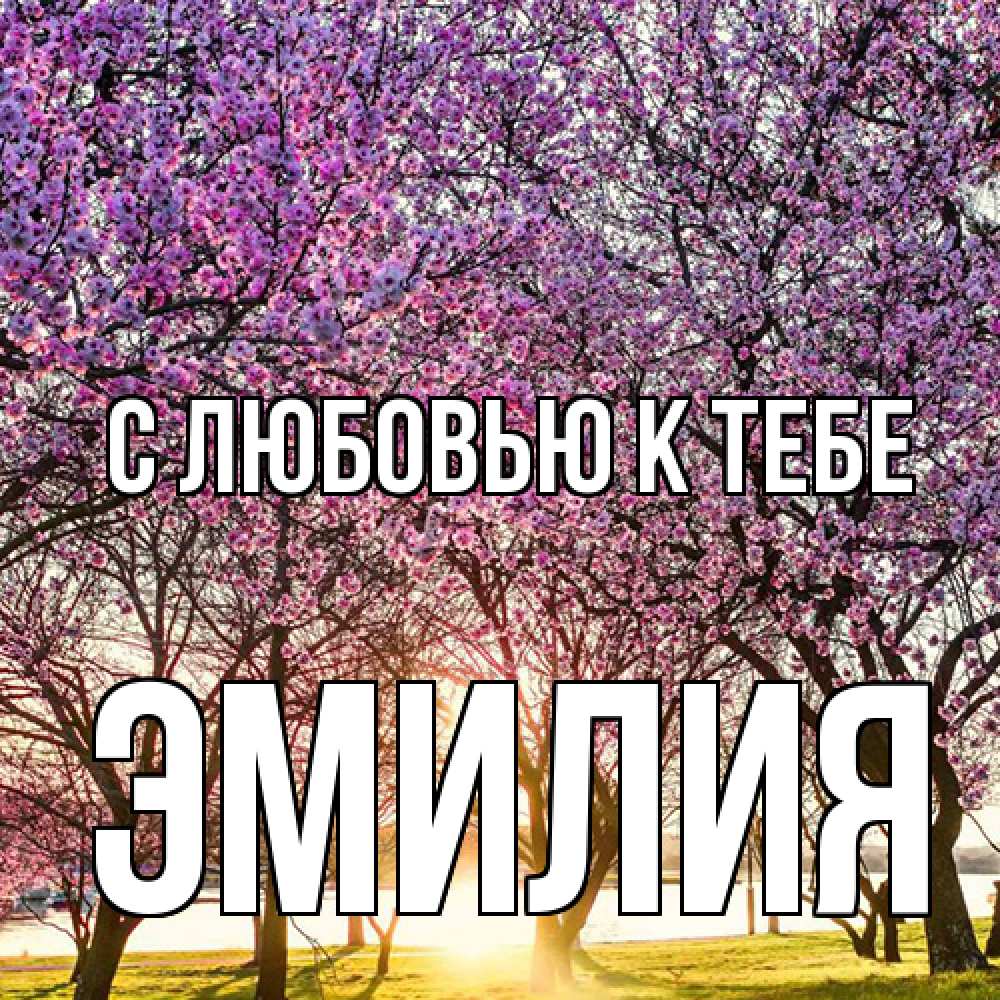 Открытка  с именем. Эмилия, С любовью к тебе  