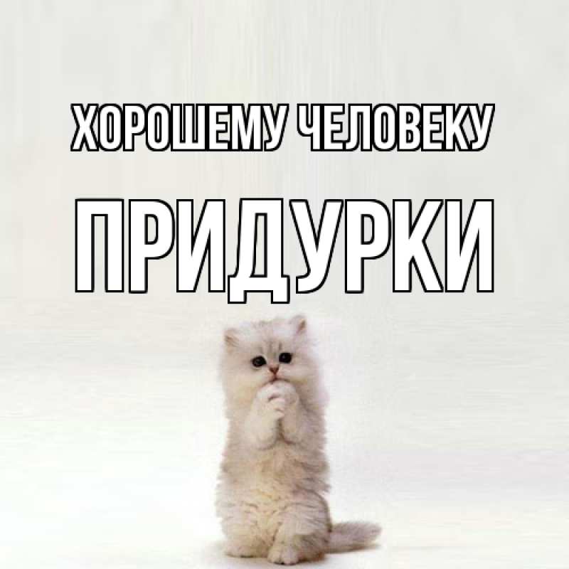 Картинка Хорошему человеку, Придурки