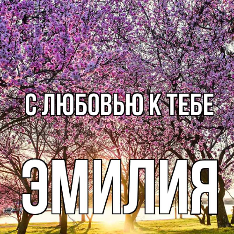 Картинка С любовью к тебе, Эмилия
