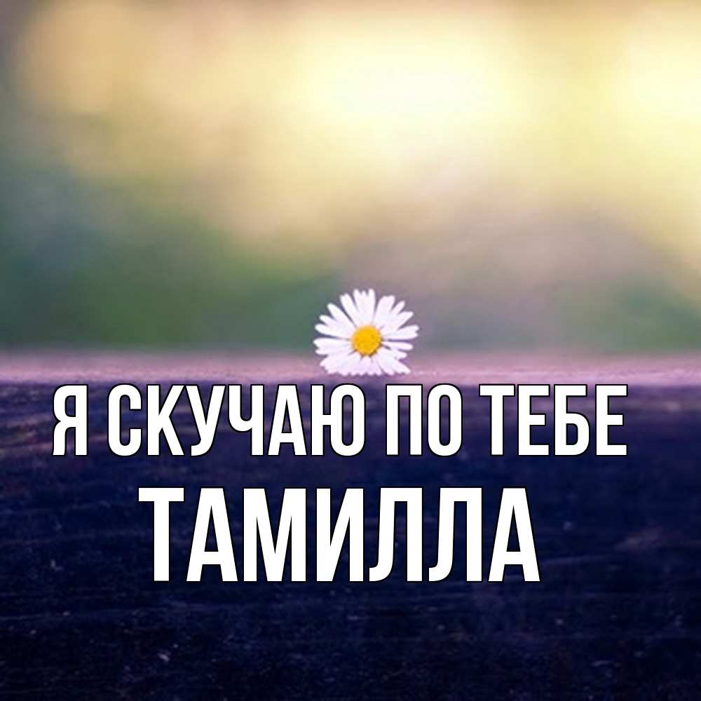 Открытка  с именем. Тамилла, Я скучаю по тебе  