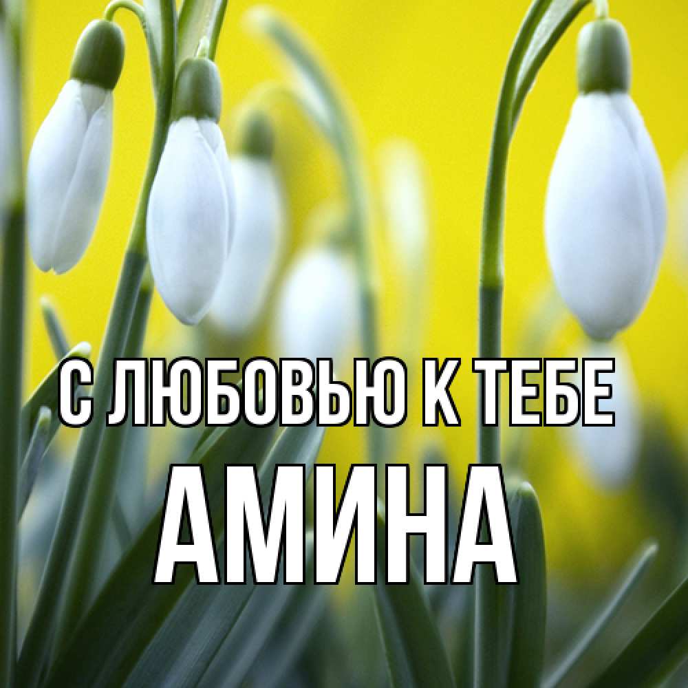 Открытка  с именем. Амина, С любовью к тебе  