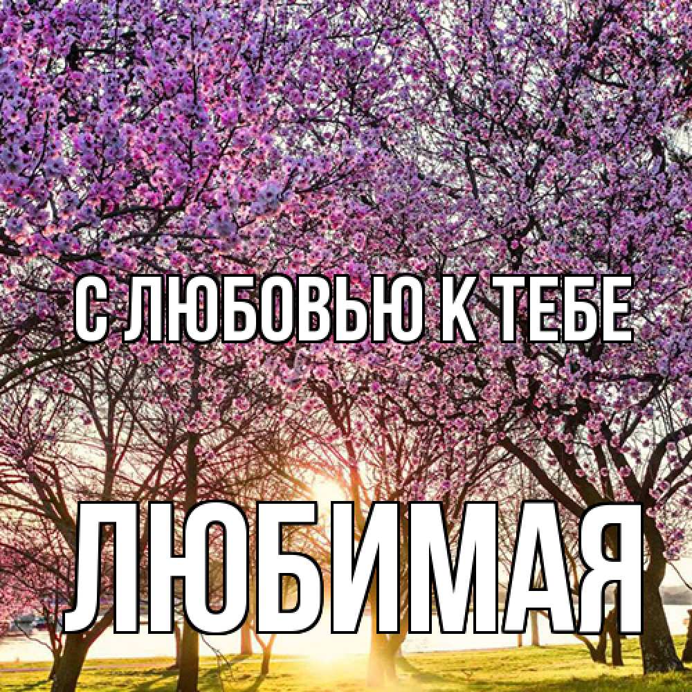 Открытка  с именем. Любимая, С любовью к тебе  