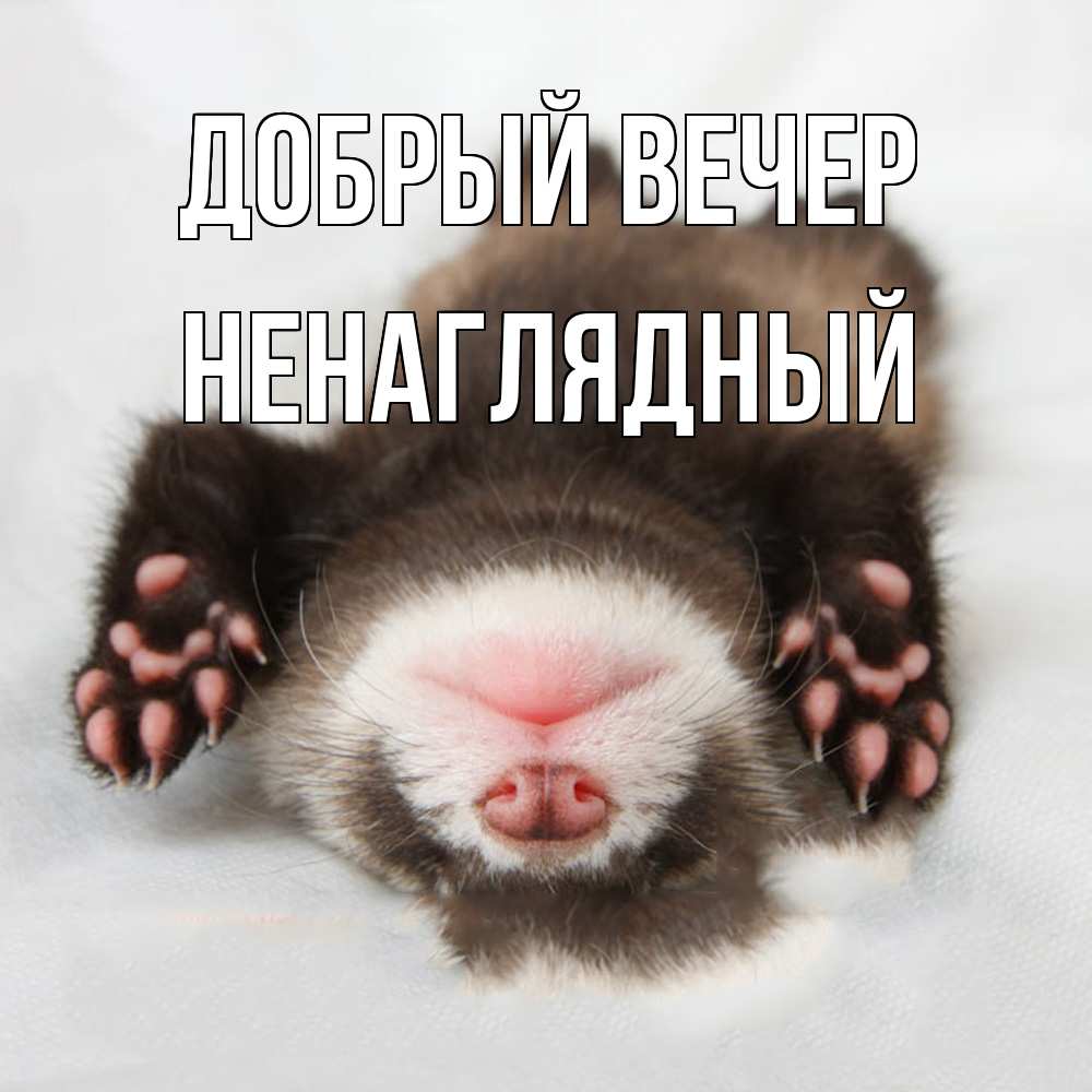Открытка  с именем. Ненаглядный, Добрый вечер  