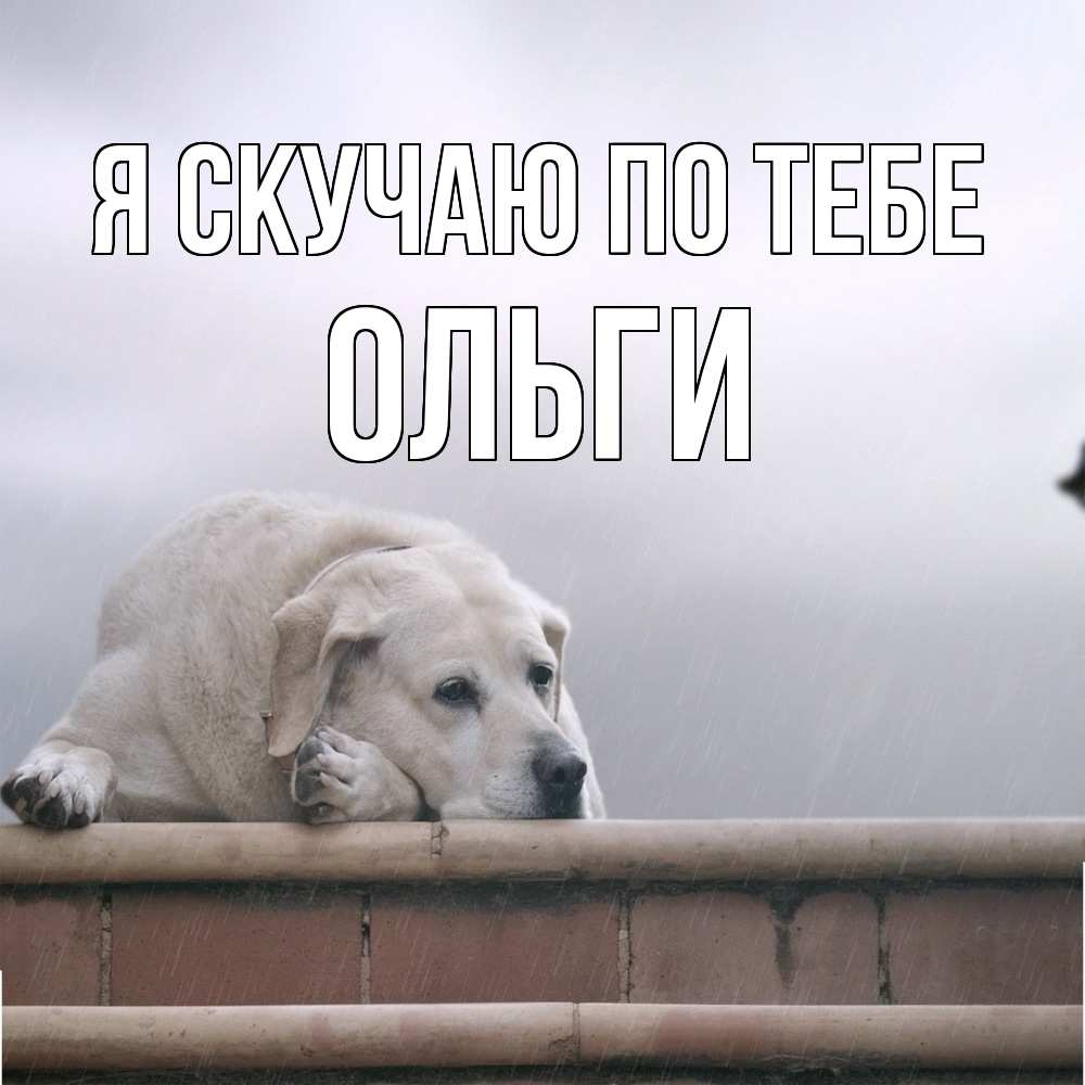 Открытка  с именем. Ольги, Я скучаю по тебе  