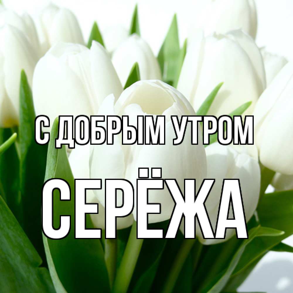 Открытка  с именем. Серёжа, С добрым утром  