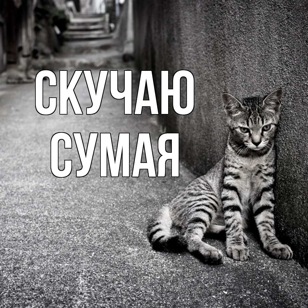 Открытка  с именем. Сумая, Скучаю  