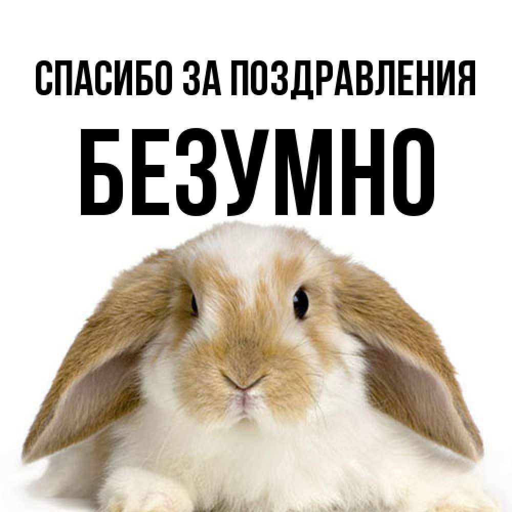 Открытка  с именем. безумно, Спасибо за поздравления  