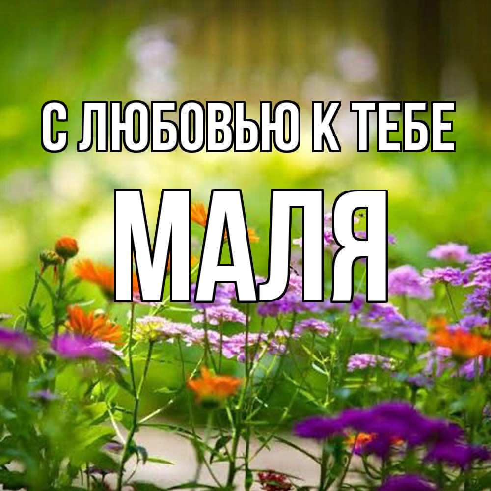 Открытка  с именем. Маля, С любовью к тебе  