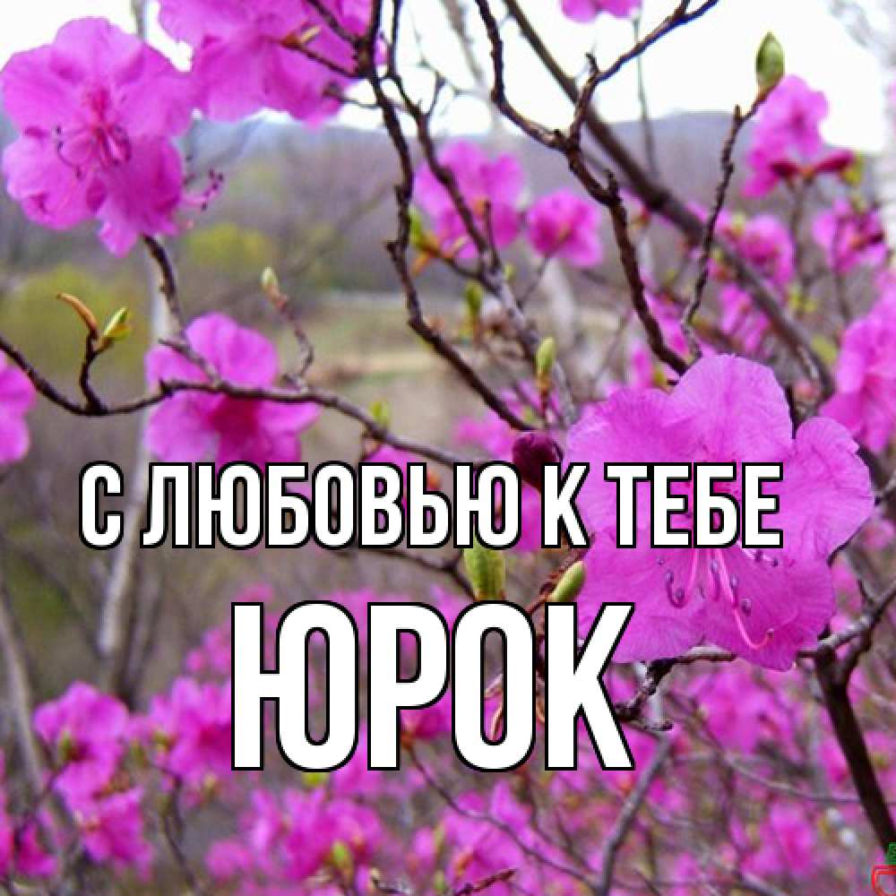 Открытка  с именем. Юрок, С любовью к тебе  