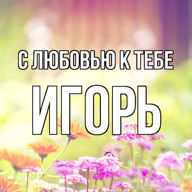 Картинка С любовью к тебе, Игорь