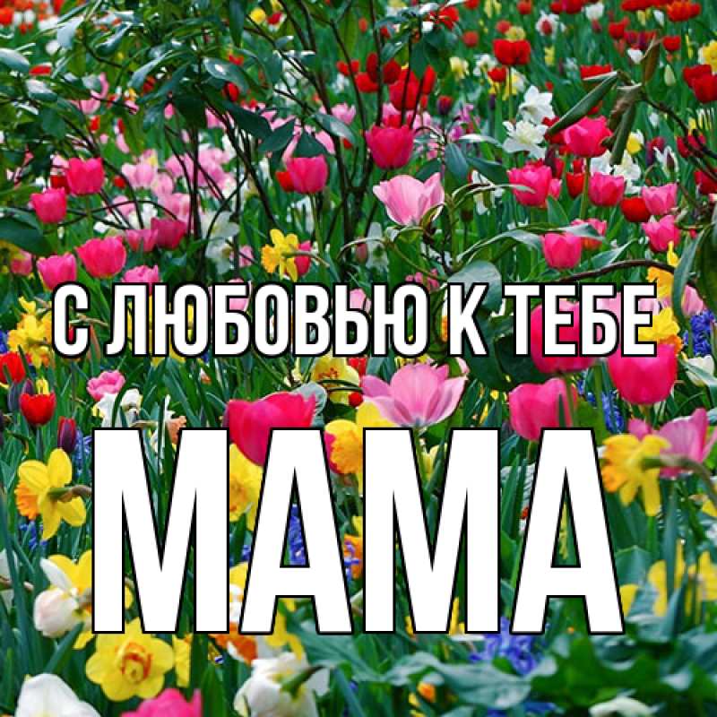 Картинка С любовью к тебе, Мама