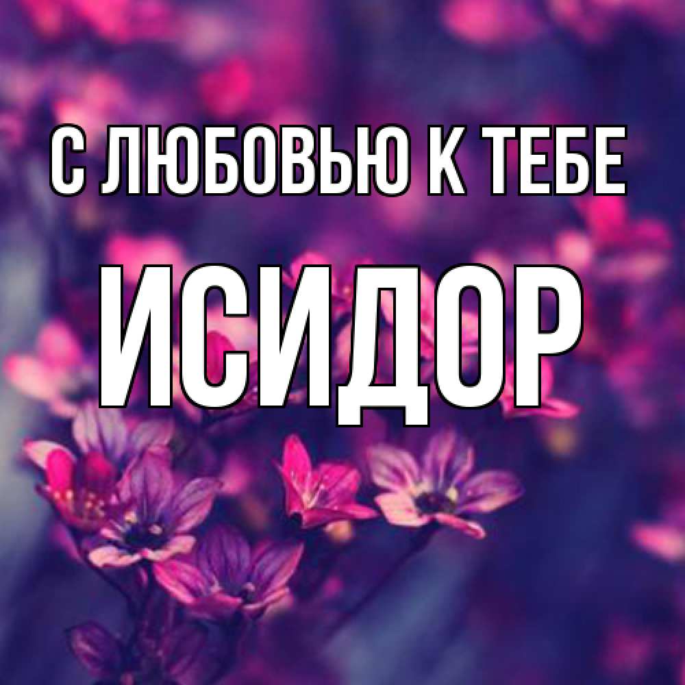 Открытка  с именем. Исидор, С любовью к тебе  