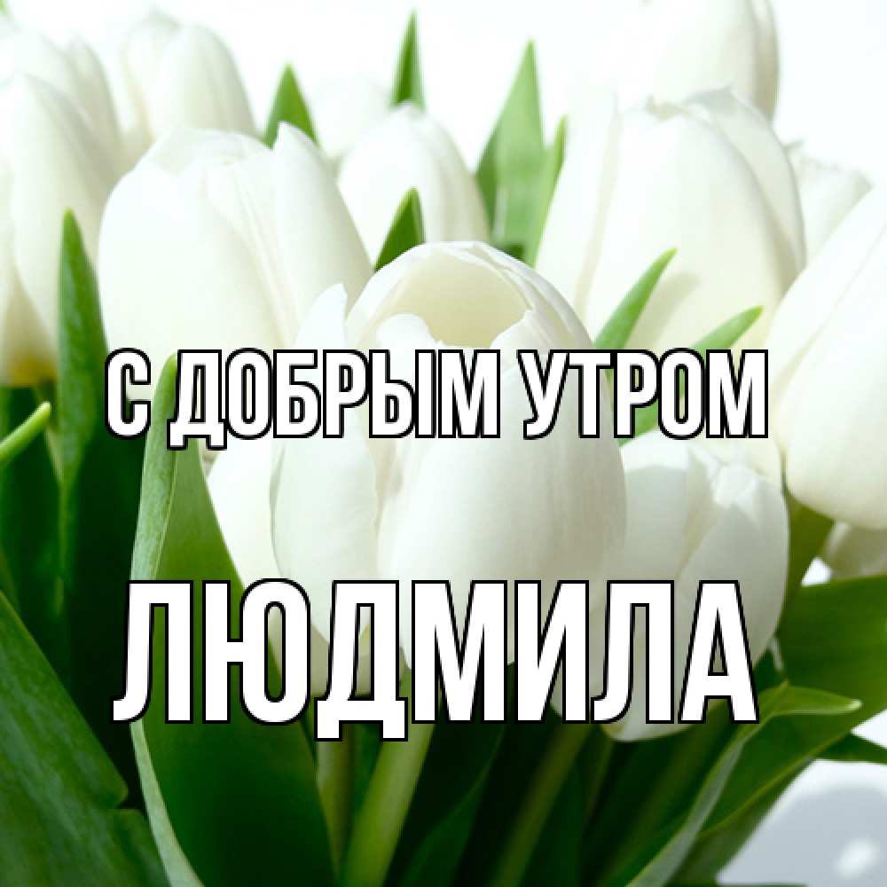 Открытка  с именем. Людмила, С добрым утром  