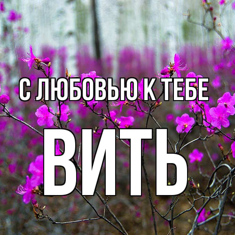 Открытка  с именем. Вить, С любовью к тебе  